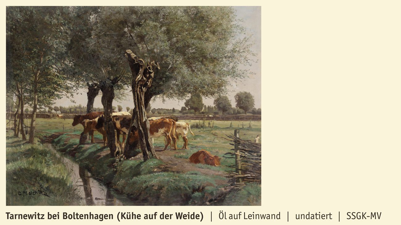 Tarnewitz bei Boltenhagen (Kühe auf der Weide)